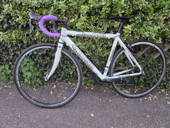 Used Cinelli Cinelli Custom Shimano Ultegra 2005 Road & Gravel — image 4 of 21