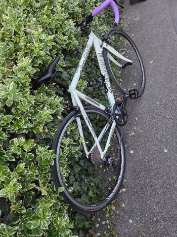 Used Cinelli Cinelli Custom Shimano Ultegra 2005 Road & Gravel — image 19 of 21