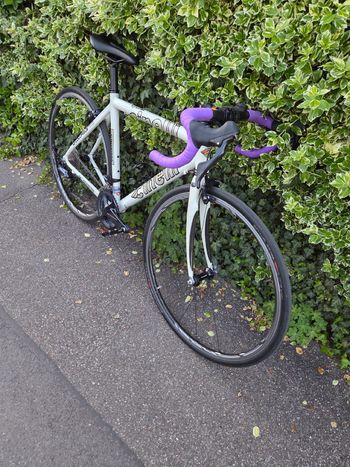 Used Cinelli Cinelli Custom Shimano Ultegra 2005 Road & Gravel — image 14 of 21