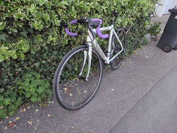 Used Cinelli Cinelli Custom Shimano Ultegra 2005 Road & Gravel — image 5 of 21