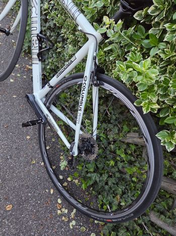 Used Cinelli Cinelli Custom Shimano Ultegra 2005 Road & Gravel — image 11 of 21
