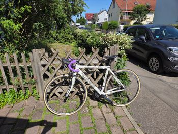Used Cinelli Cinelli Custom Shimano Ultegra 2005 Road & Gravel