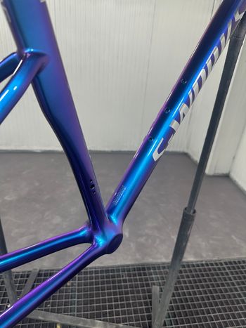 Used Specialized S-Works Tarmac SL8 Frameset - FACT 12r Carbon 2026 Frameset 2026 Road & Gravel, Blue — image 3 of 11