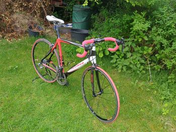 Used sab Campagnole Centaur 2010 Road & Gravel