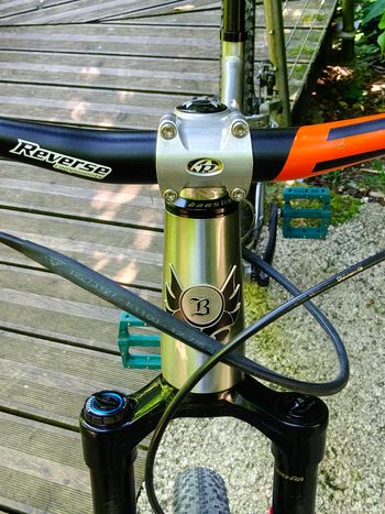 Used Banshee PARADOX V3 Frame 2024 2024 Mountainbike, Light Gray, 29 — image 7 of 7