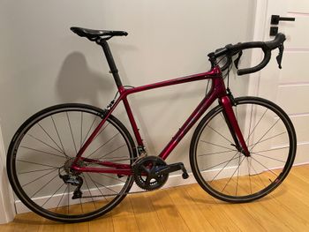 Used Trek Émonda SLR 6 2017 2017 Road & Gravel