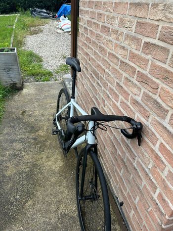 Used TRIBAN Rennrad Radtouren RC120 Scheibenbremsen hellgrau 2026 2026 Road & Gravel, White — image 6 of 7