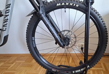 Used Canyon Spectral 29 AL 6 2023 2023 Mountainbike, Light Gray, 29 — image 6 of 11