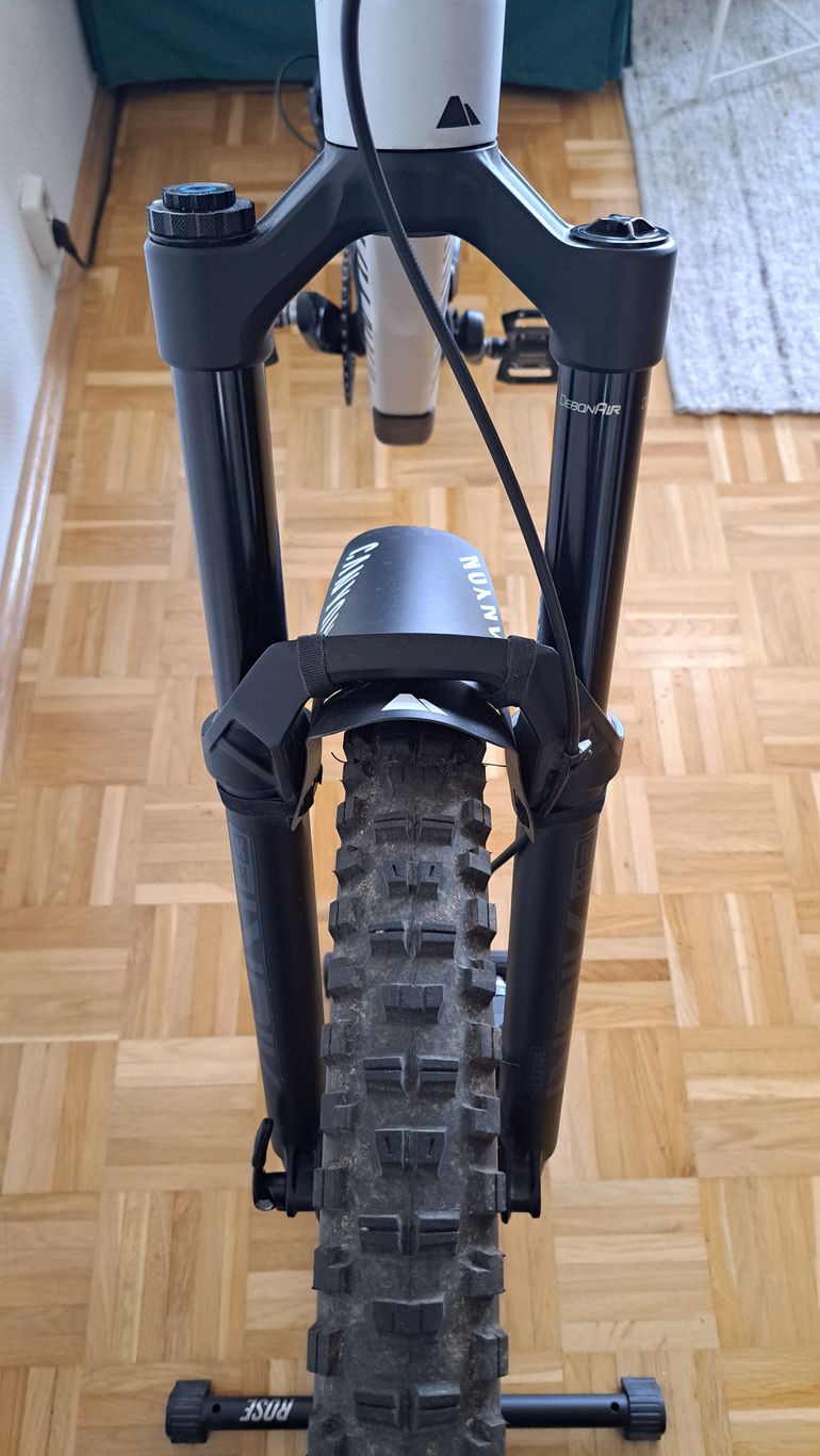 Used Canyon Spectral 29 AL 6 2023 2023 Mountainbike, Light Gray, 29 — image 9 of 11