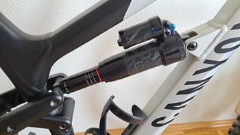Used Canyon Spectral 29 AL 6 2023 2023 Mountainbike, Light Gray, 29 — image 10 of 11