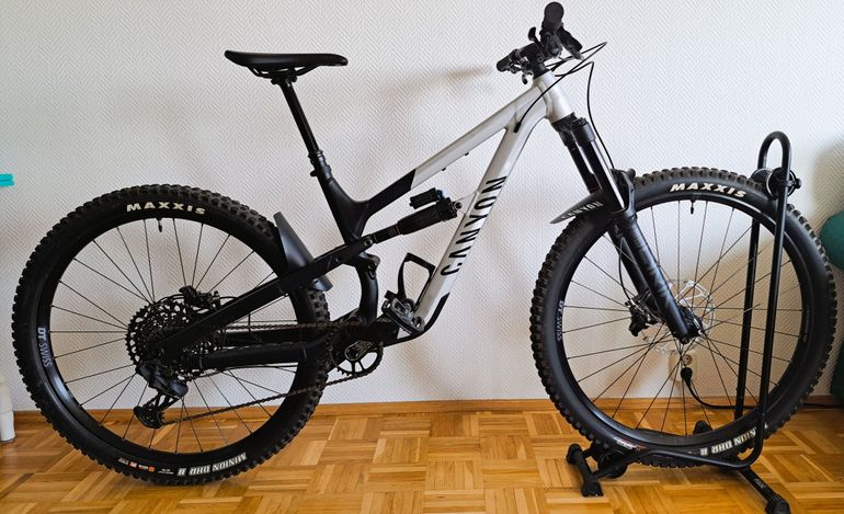 Used Canyon Spectral 29 AL 6 2023 2023 Mountainbike, Light Gray, 29 — image 1 of 11