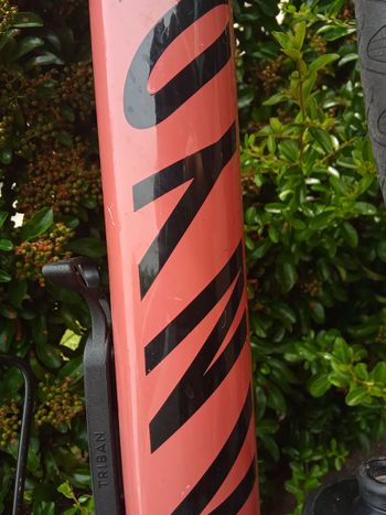 Used Canyon Grizl CF SL 8 1by 2024 2024 Road & Gravel, Red — image 4 of 15