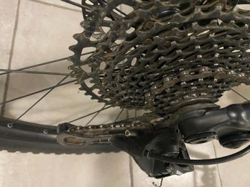 Used Specialized Stumpjumper Alloy 2021 2021 Mountainbike, Black, 29 — image 2 of 15