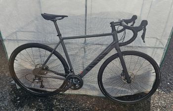 Used Canyon Endurace AL Disc 6.0 2021 2021 Road & Gravel, Light Gray — image 3 of 18