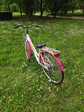 Used Esperia Esperia Custom Shimano SLX 2021 Youth, Red — image 4 of 9