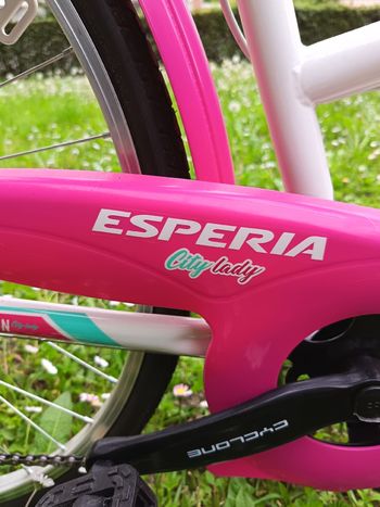 Used Esperia Esperia Custom Shimano SLX 2021 Kids & Youth