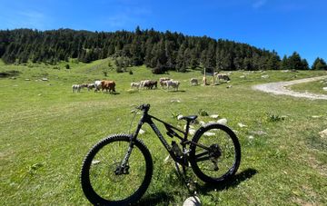 Brugt Megamo VITAE 03 2024 2024 MTB
