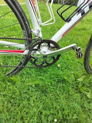 Used Trek 1.2 Shimano Sora 2010 Road & Gravel, White — image 4 of 8