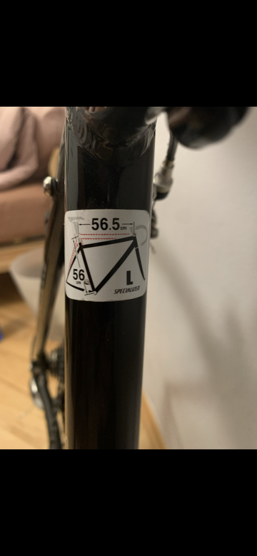 Used Specialized Allez Shimano Sora 2004 Road & Gravel, Black — image 7 of 7