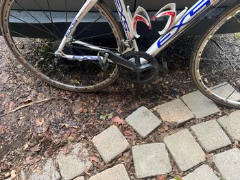 Used EXS EXS Custom Shimano Ultegra 2009 Road & Gravel, Weiß — image 4 of 4