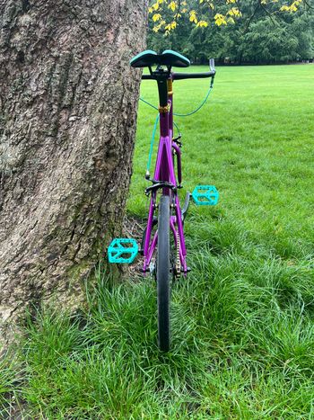 Used kosda Kosda Custom Single Speed / Fixed Gear 2026 Urban, Morado — image 8 of 8