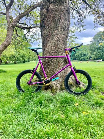 Used kosda Kosda Custom Single Speed / Fixed Gear 2026 Urban & Touring