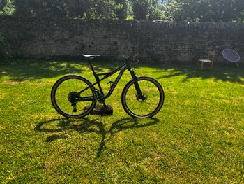 Used Cannondale Scalpel SE 2019 2019 MTB