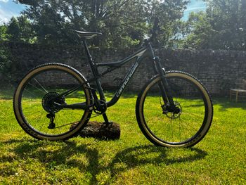 Used Cannondale Scalpel SE 2019 2019 Mountainbike, Green, 29 — image 2 of 13