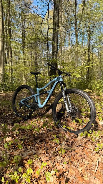 Used Ibis Cycles Ibis Cycles Custom Frameset 2022 MTB