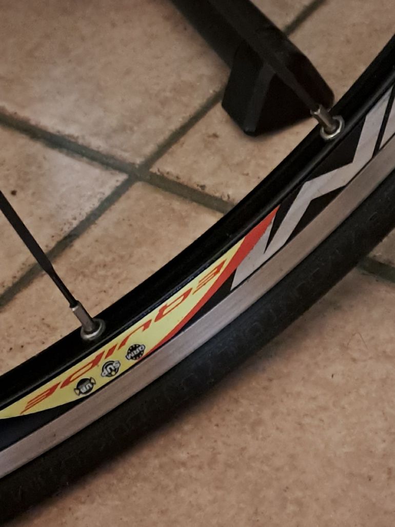 Used Olympia Olympia Custom Campagnolo Athena 2014 Road & Gravel, White — image 5 of 7