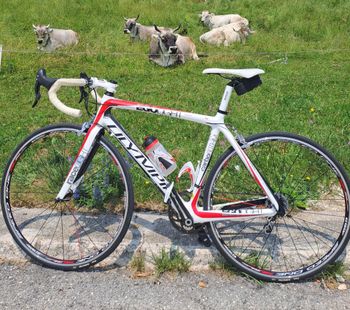 Used Olympia Olympia Custom Campagnolo Athena 2014 Racefiets & gravel