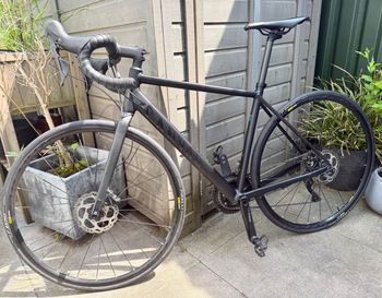Used Canyon Canyon Endurace WMN AL 7.0 Disc 2019 Road & Gravel