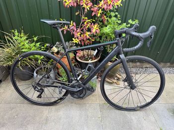 Used Canyon Canyon Endurace WMN AL 7.0 Disc 2019 Road & Gravel, Black — image 13 of 20