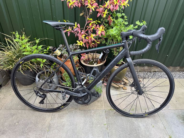 Used Canyon Canyon Endurace WMN AL 7.0 Disc 2019 Road & Gravel, Black — image 13 of 20