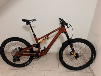 Used Specialized Stumpjumper 15 Öhlins Coil 2025 2025 Mountainbike, Red, 29, 27.5 — image 3 of 20