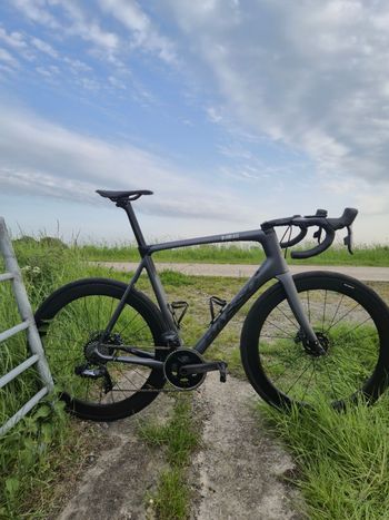Used Basso Diamante SRAM Force eTap AXS 2020 Road & Gravel, Light Gray — image 4 of 6