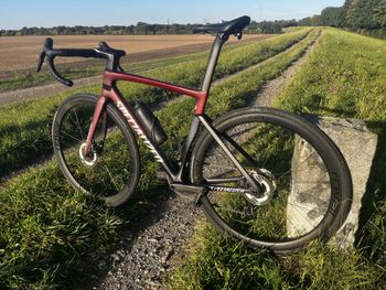 Used Specialized Tarmac SL7 Expert 2022 2022 Road & Gravel