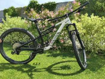 Used Canyon Neuron 5 2023 2023 MTB