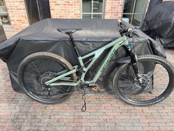 Used Specialized Stumpjumper Comp Alloy 2021 2021 Mountainbike, Green, 29 — image 2 of 8