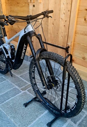 Gebrauchtes Giant Reign E+1 MX 2022 Mountainbike, Hellgrau — Bild 3 von 6