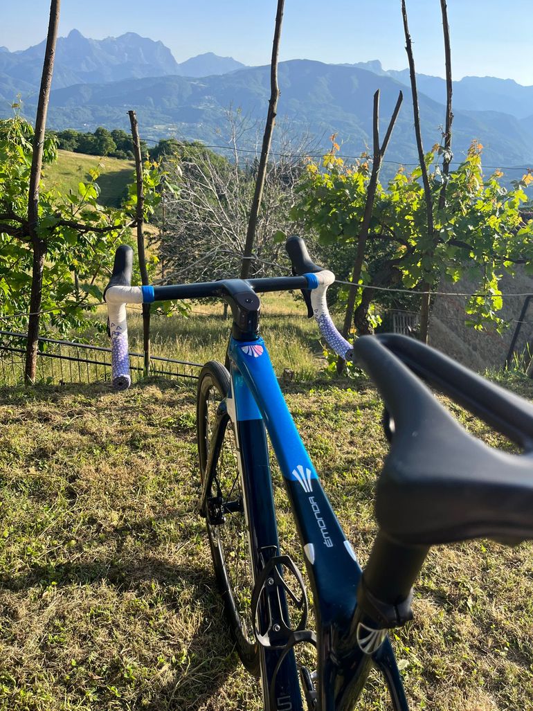 Used Trek Émonda SL 5 Disc 2022 2022 Road & Gravel, Blue — image 5 of 10