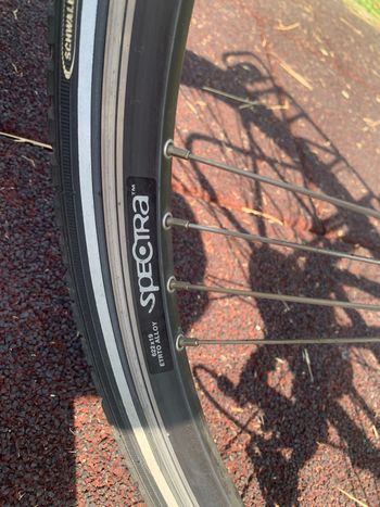 Used Bianchi Spillo Shimano Deore Urban, Green — image 15 of 30