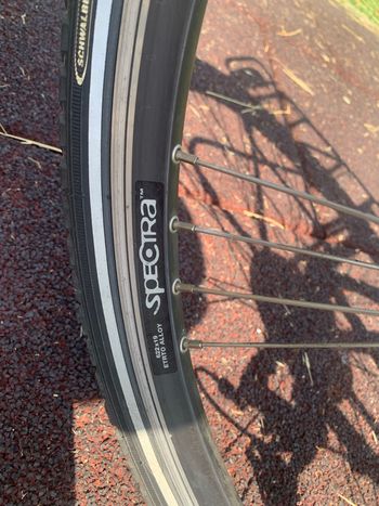 Used Bianchi Spillo Shimano Deore Urban, Green — image 8 of 30