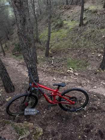 Used Norco Range C2 27.5 2019 2019 Mountainbike, Red, 27.5 — image 4 of 8
