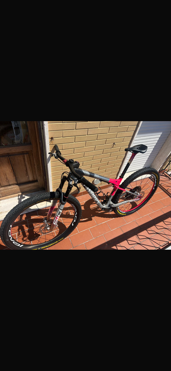 Used Specialized S-Works Epic World Cup Forward 50 LTD 2025 2025 Mountainbike, Light Gray, 29 — image 2 of 3