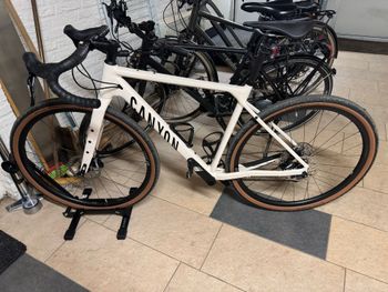 Used Canyon Grizl 6 1BY 2025 2025 Road & Gravel, White — image 2 of 3