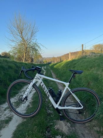 Used Canyon Grizl 6 1BY 2025 2025 Road & Gravel, White — image 3 of 3