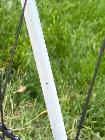 Used Fairlight Cycles Strael 3.0 2023 Road & Gravel, White — image 7 of 8