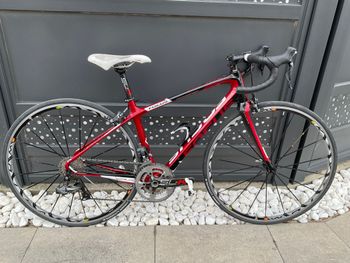 Used Focus Izalco Dona 2010 Road & Gravel