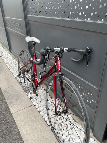 Used Focus Izalco Dona 2010 Road & Gravel, Rot — image 3 of 3